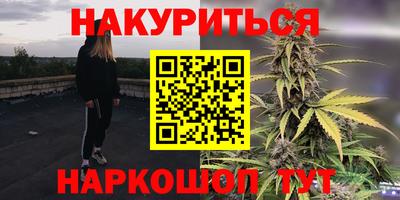 Альфа ПВП Аргун