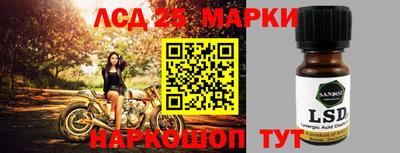 Альфа ПВП Аргун