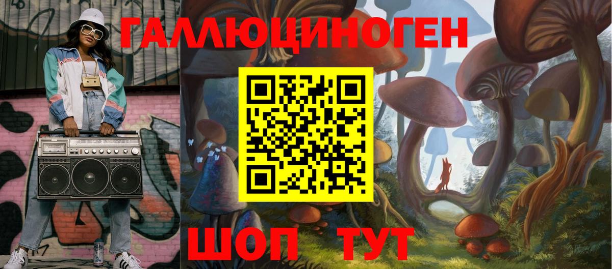 Галлюциногенные грибы Psilocybe Богородск