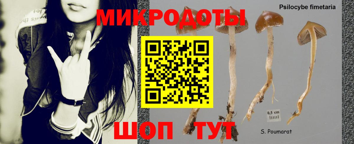 Галлюциногенные грибы Magic Shrooms  Вход с VPN  Богородск 